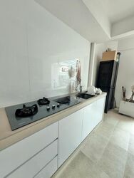 Golden Chuan Ville (D19), Terrace #517079951